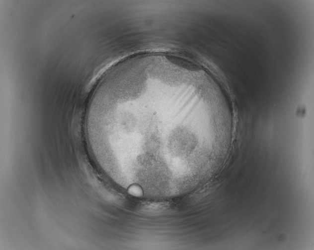 X0000114570155200911161254