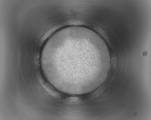 X0000114570159200911161254