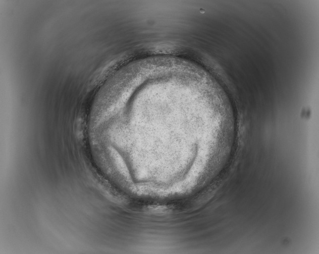 X0000114570161200911161254