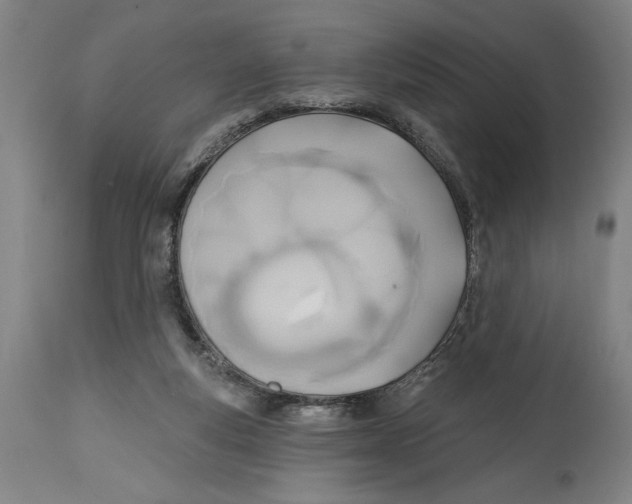 X0000114570163200911161254