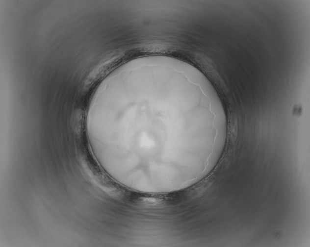 X0000114570167200911161254