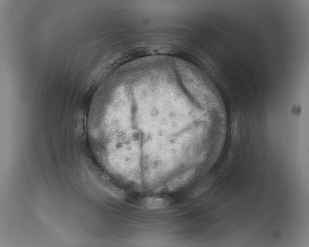 X0000114570169200911161254