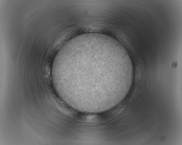 X0000114570173200911161254