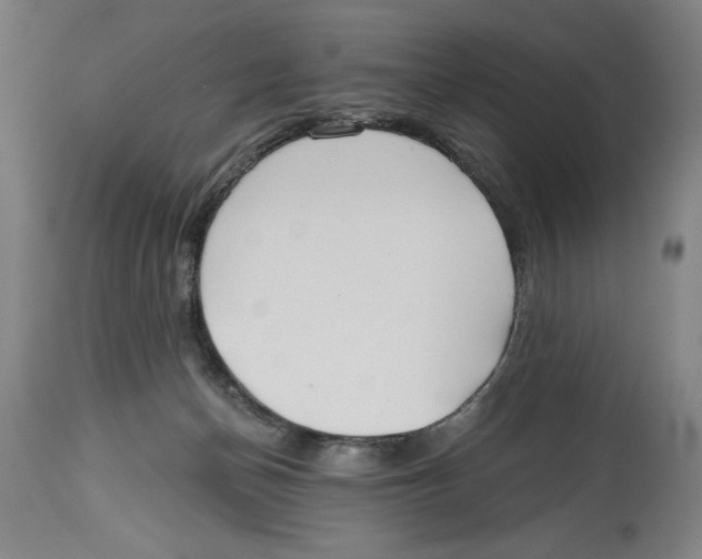 X0000114570174200911161254