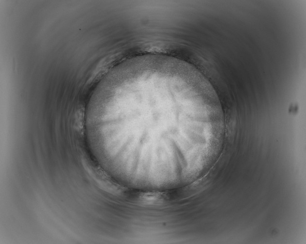 X0000114570175200911161254