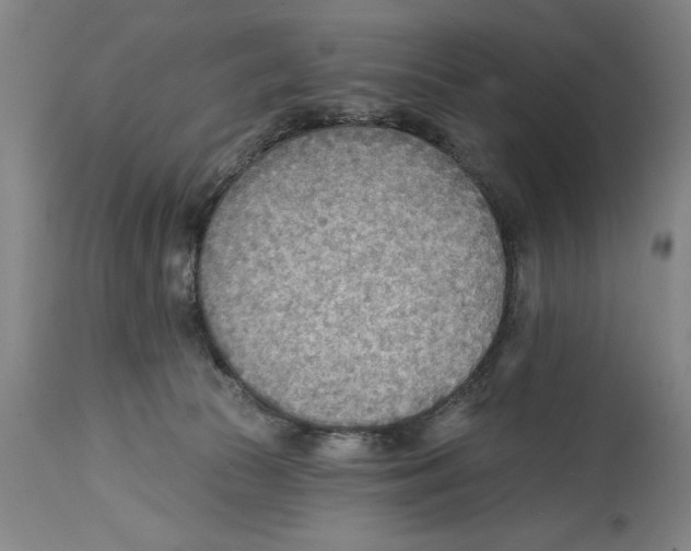 X0000114570177200911161254