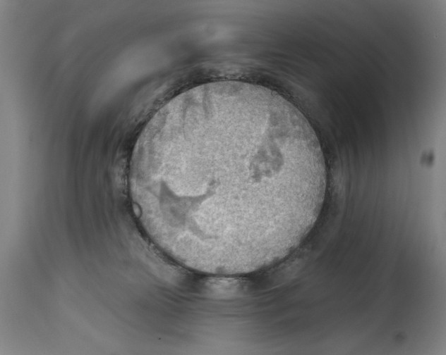 X0000114570181200911161254