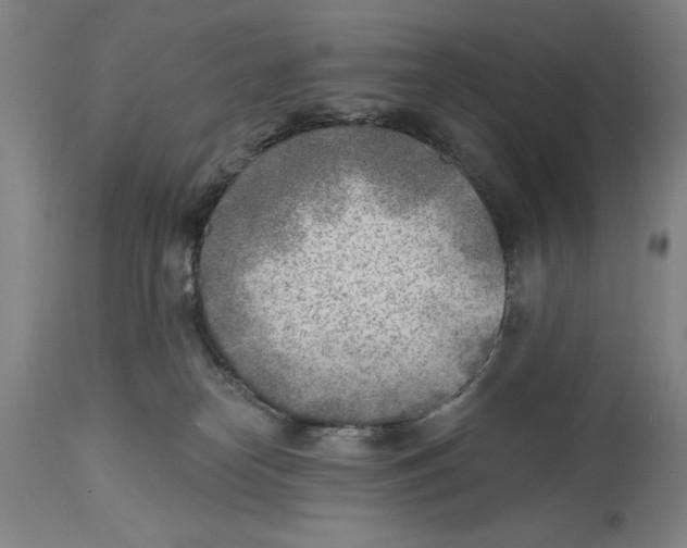 X0000114570182200911161254