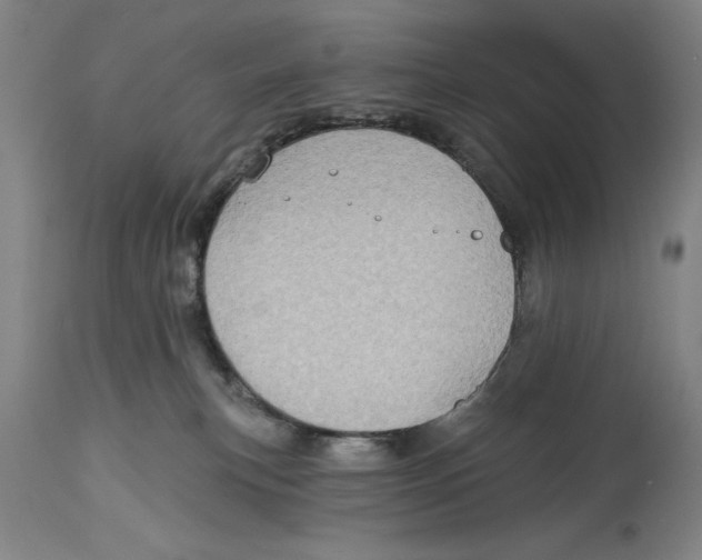 X0000114570183200911161254