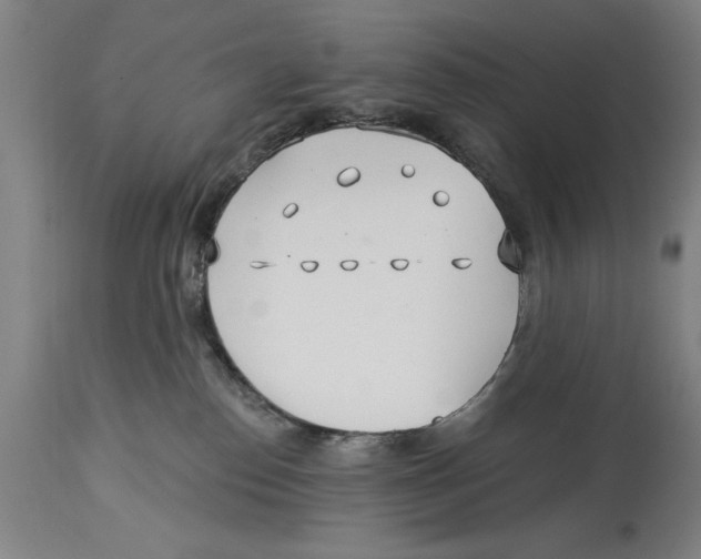 X0000114570186200911161254