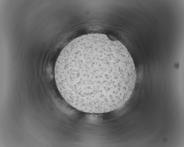 X0000114570187200911161254