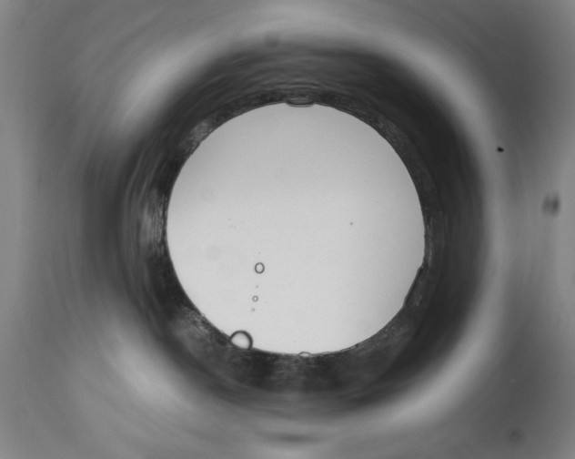 X0000114570190200911161254