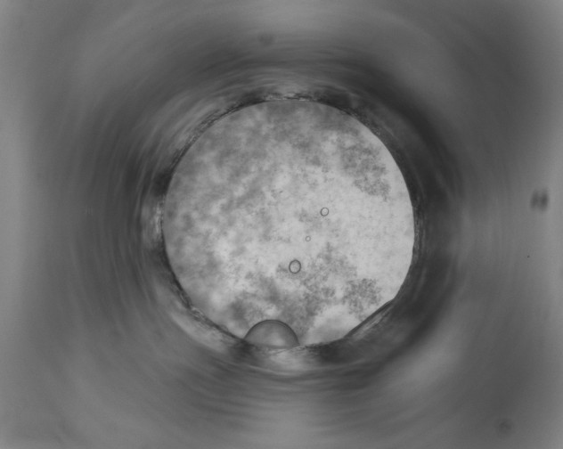 X0000114570191200911161254