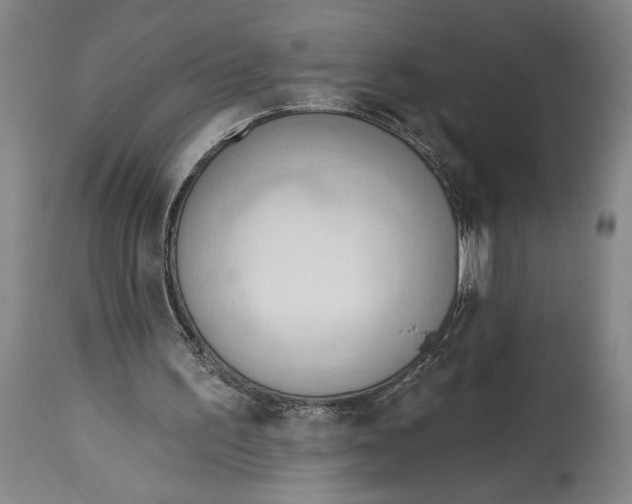 X0000114570195200911161254