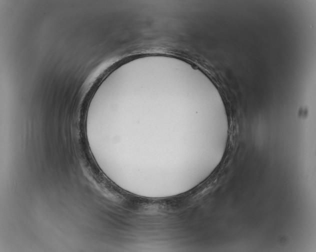 X0000114570200200911161254