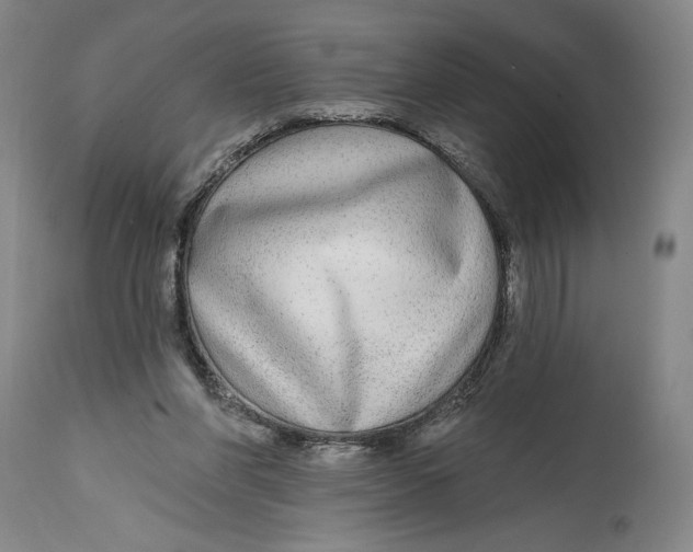 X0000114570206200911161254