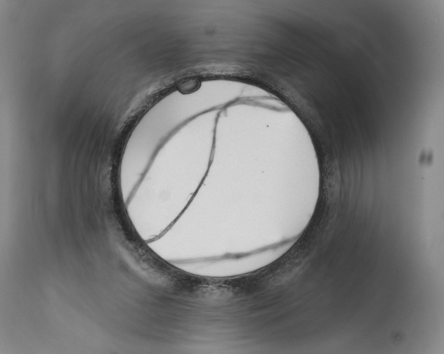 X0000114570207200911161254