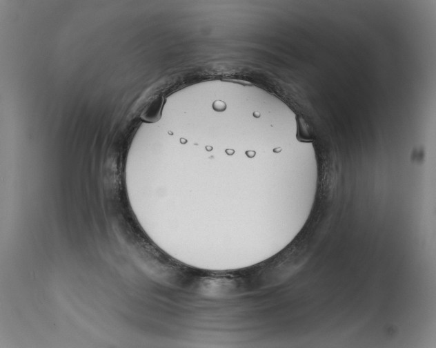 X0000114570220200911161253