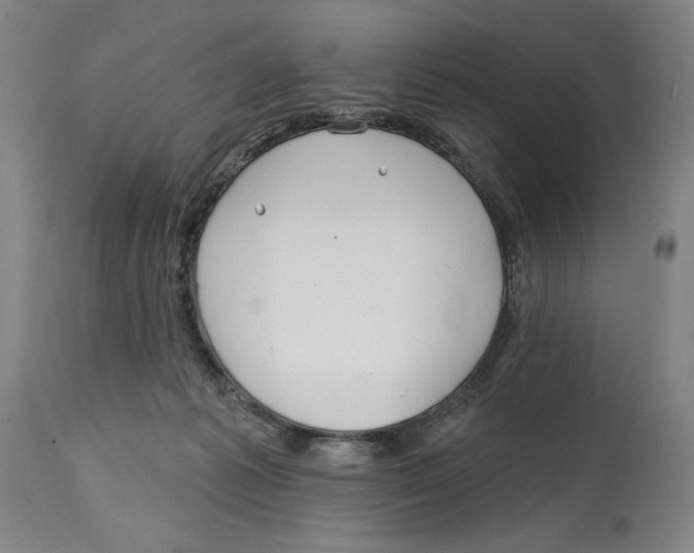 X0000114570221200911161253