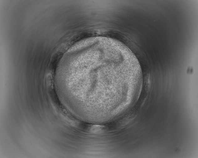 X0000114570222200911161253