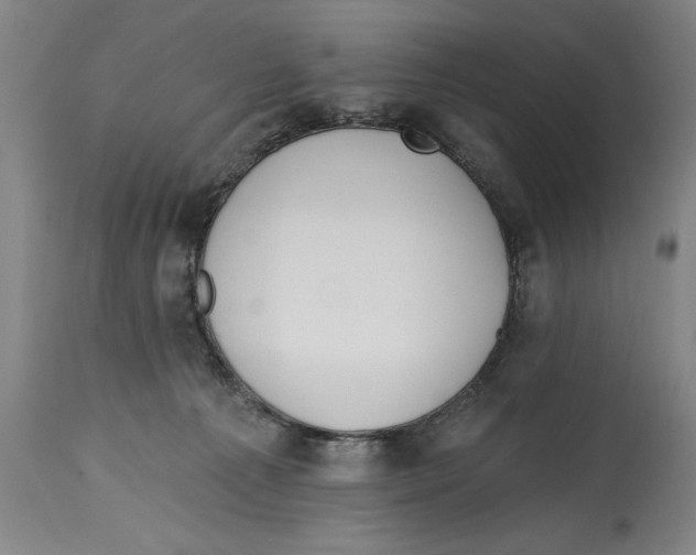 X0000114570225200911161253