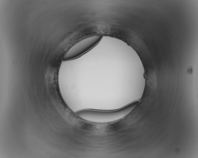 X0000114570233200911161253