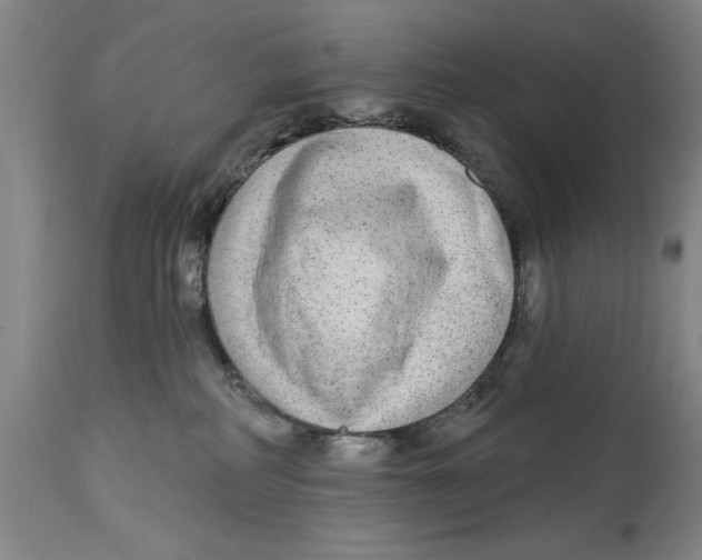 X0000114570234200911161253