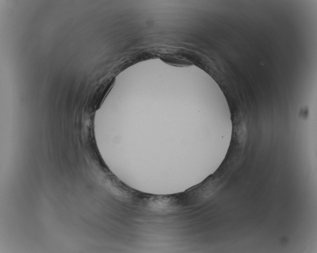 X0000114570235200911161253