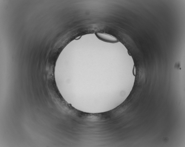 X0000114570236200911161253