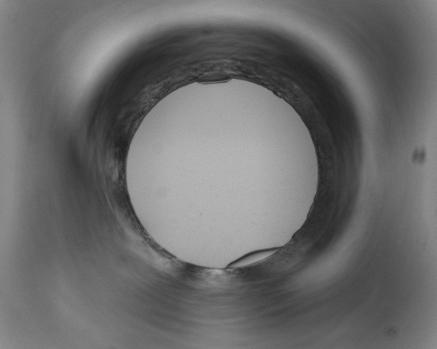 X0000114570239200911161253