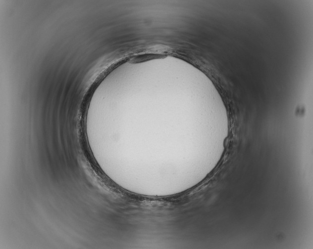 X0000114570242200911161253