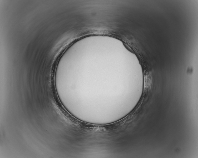 X0000114570243200911161253