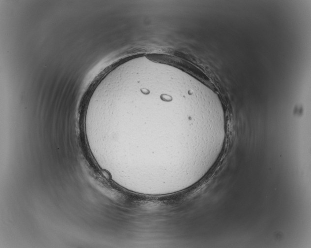 X0000114570246200911161253