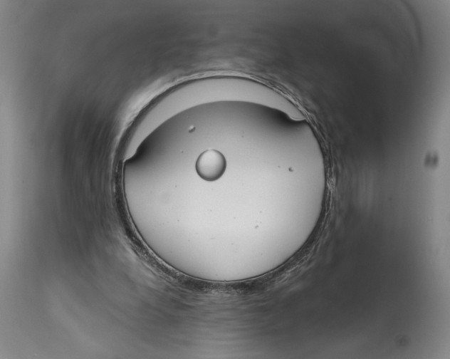 X0000114570248200911161253