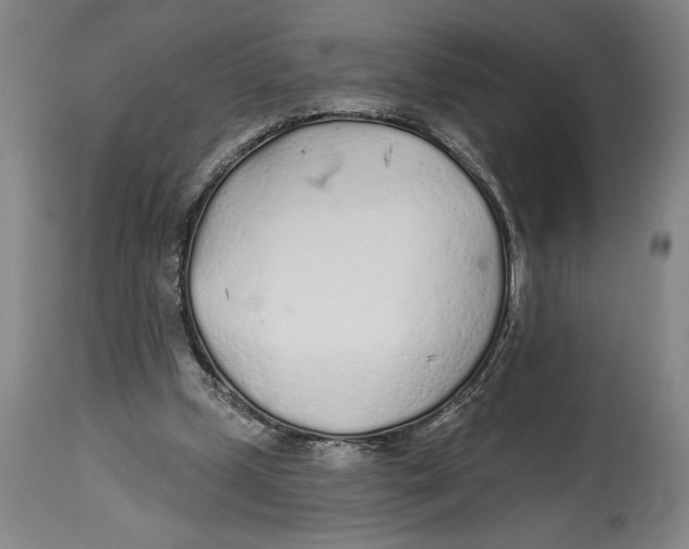 X0000114570249200911161253