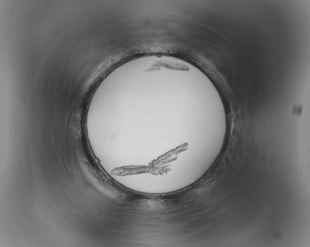 X0000114570250200911161253