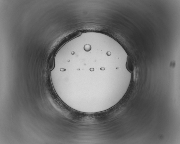 X0000114570252200911161253