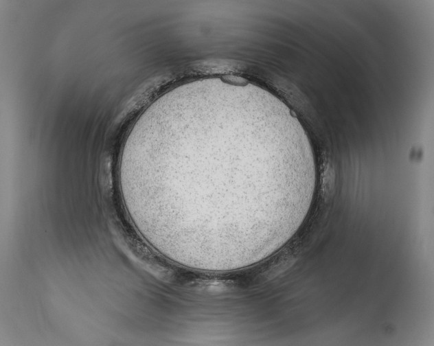 X0000114570254200911161253