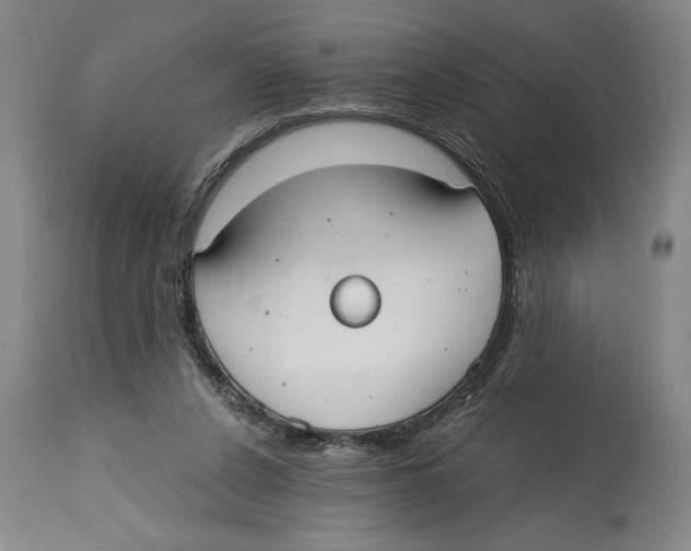 X0000114570256200911161253