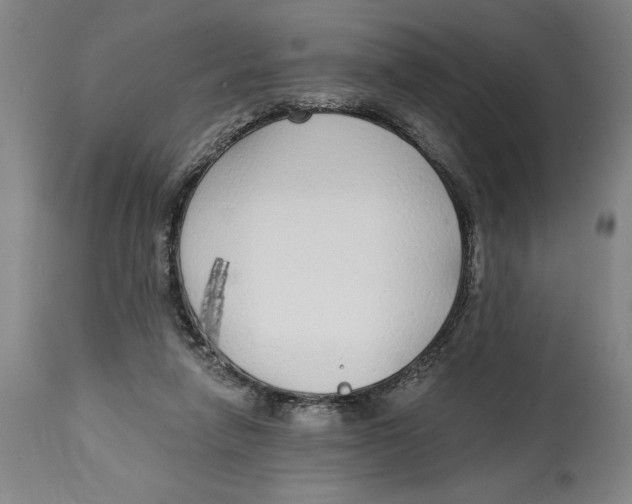 X0000114570258200911161253