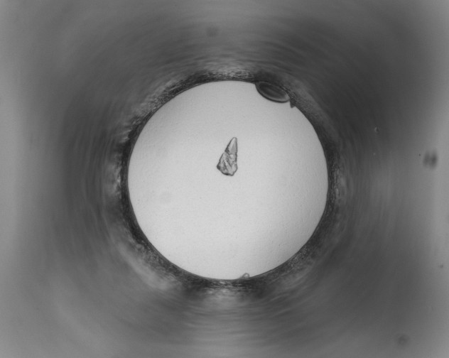 X0000114570259200911161253