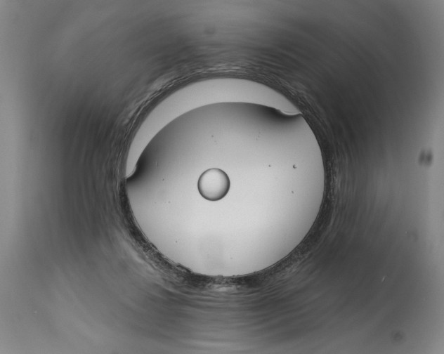 X0000114570260200911161253