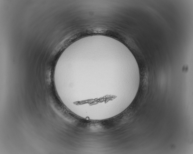 X0000114570262200911161253