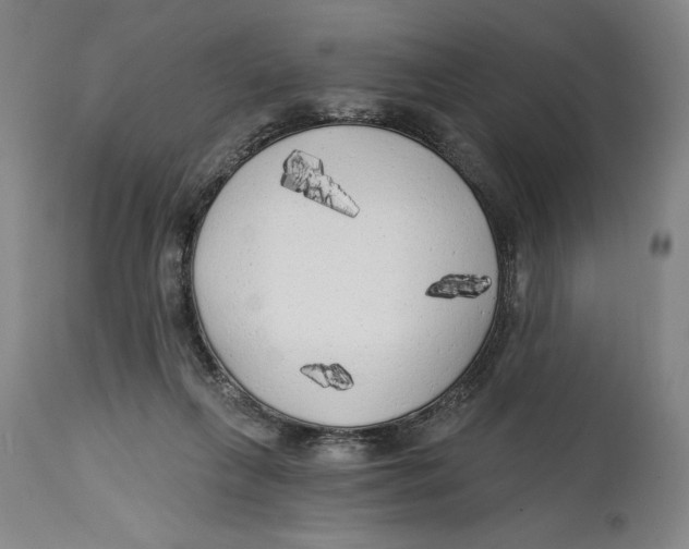 X0000114570263200911161253