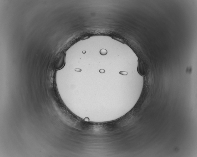 X0000114570264200911161253