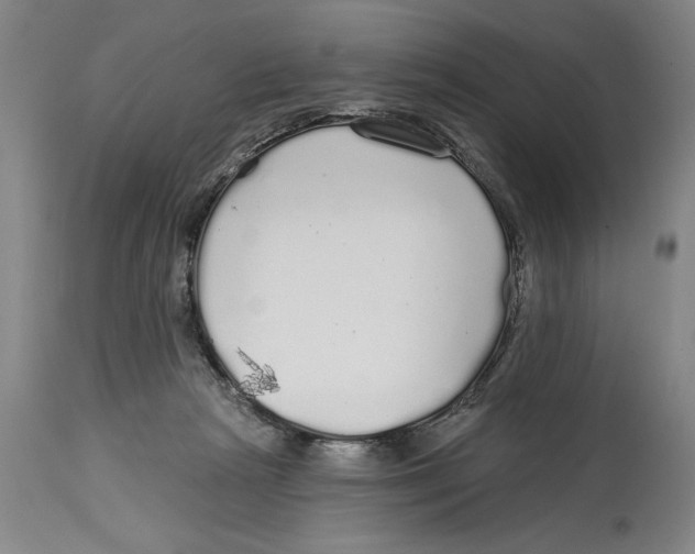 X0000114570265200911161253