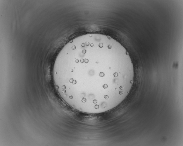 X0000114570267200911161253