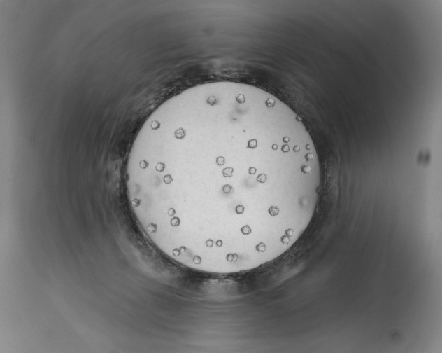 X0000114570271200911161253