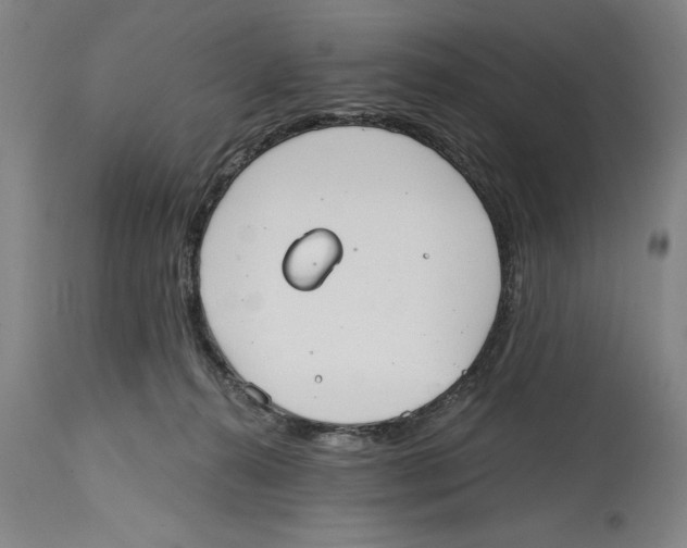 X0000114570272200911161253