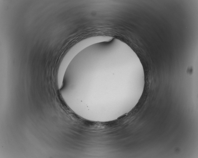 X0000114570276200911161253